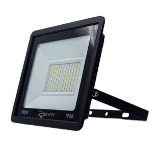 پروژکتور رایا 100 وات پارس اروند