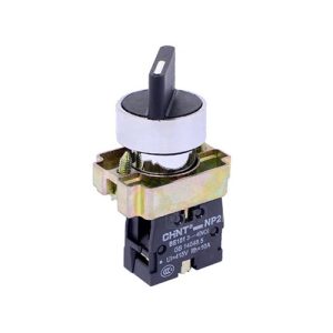 کلید فرمان یکطرفه فلزی NP2-BD 21 چینت الکتریک